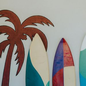 Surfboard Rentals